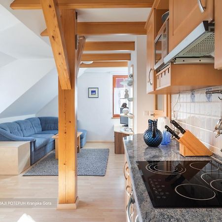 Apartmaji Potepuh 克拉尼斯卡戈拉 外观 照片