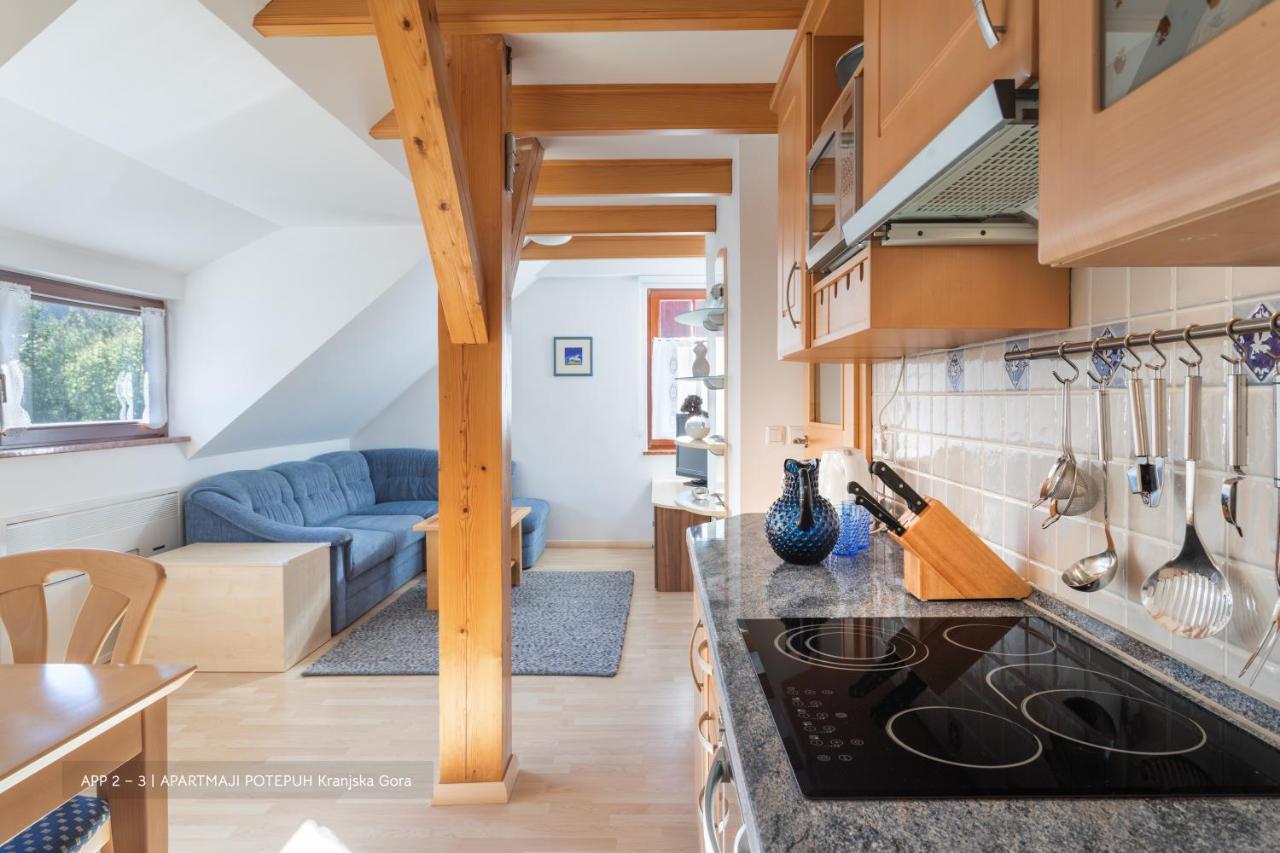 Apartmaji Potepuh 克拉尼斯卡戈拉 外观 照片